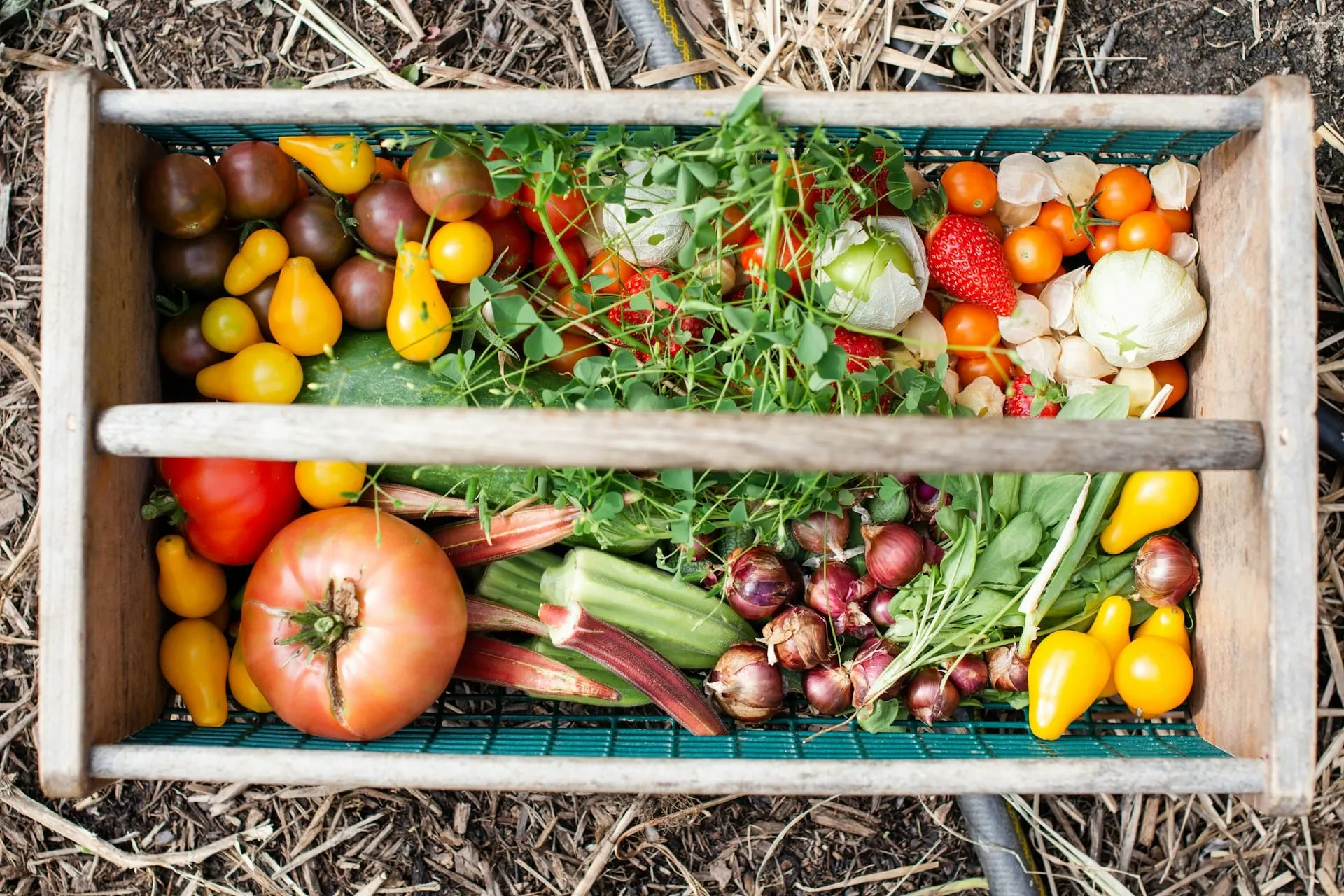 A crate filled with fresh vegetables and herbs