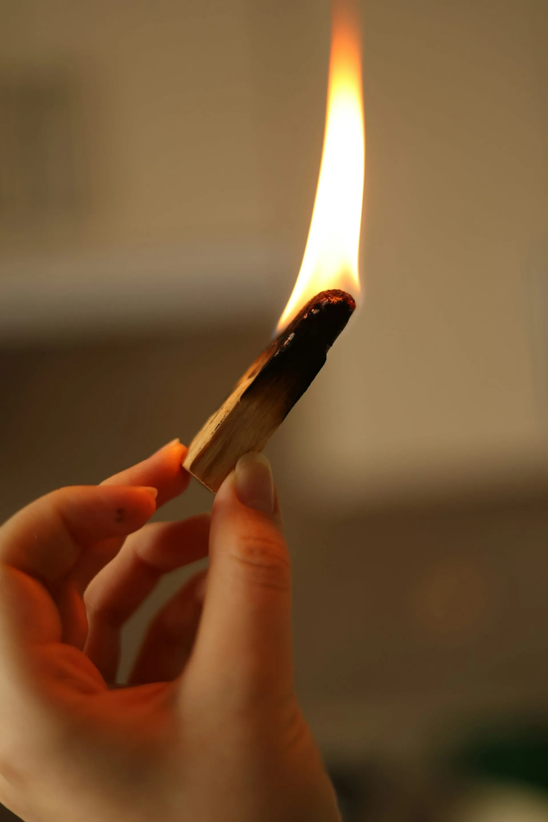 A hand holding a burning stick of palo santo