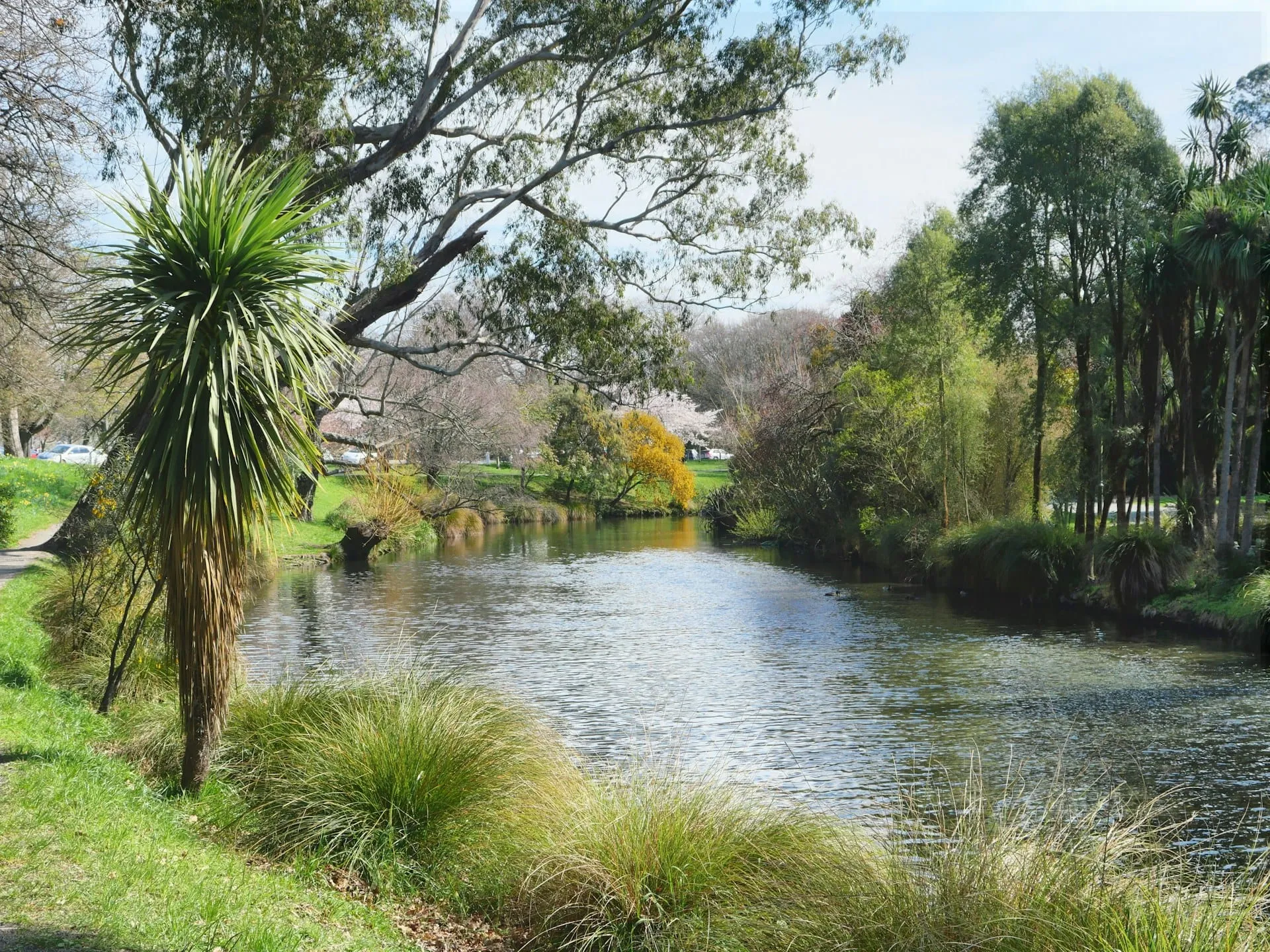 A calm river winding through a green park with palm trees